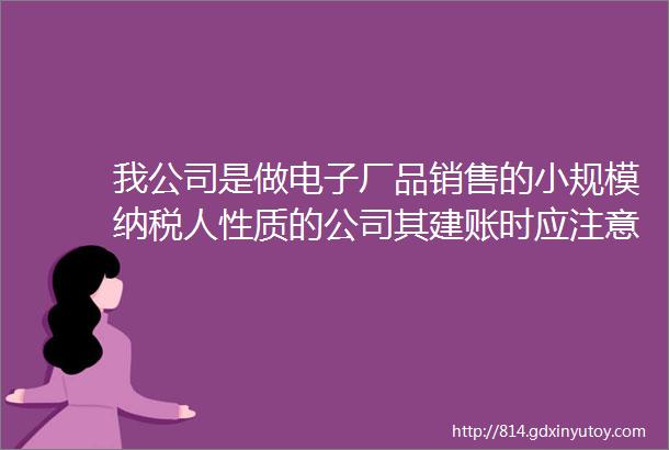 我公司是做电子厂品销售的小规模纳税人性质的公司其建账时应注意